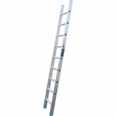TB Davies Taskmaster EN131 Professional 3m Single Section Ladder (11 Rung)