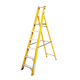 Lyte MagnaStep 6 Tread Glassfibre Platform Stepladder