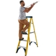Werner Fibreglass Swingback Stepladder - 6 Tread