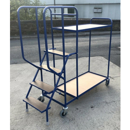 1000 x 500mm Picking Trolley with 4 Steps & 2 Shelves - 250kg
