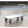 1000 x 700mm Galvanised Mesh End Platform Truck - 500kg