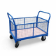 1220 x 800mm Platform Truck with Mesh Sides - 500kg